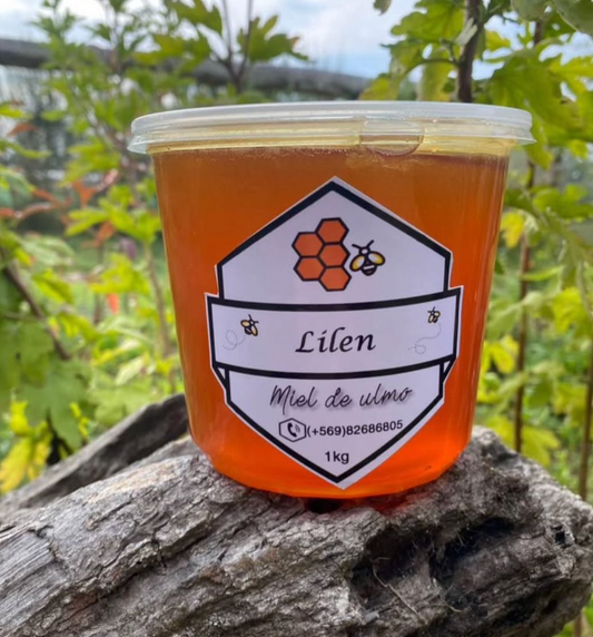 Miel de Ulmo 1kg Marca Lilen