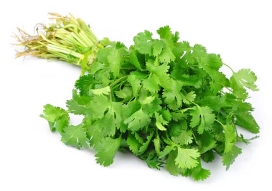 Cilantro, 1un