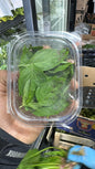 Albahaca und