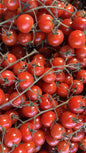 Tomate cherry  500gr