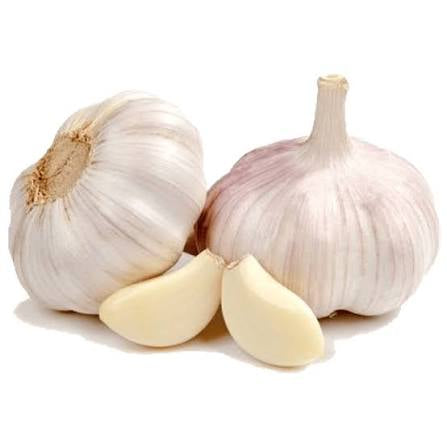 Ajo und