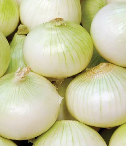 Cebolla kg