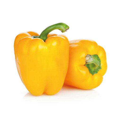 🔥Pimentón morron Amarillo und Venta Nocturna 🌙🔥