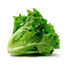 Lechuga crespa und