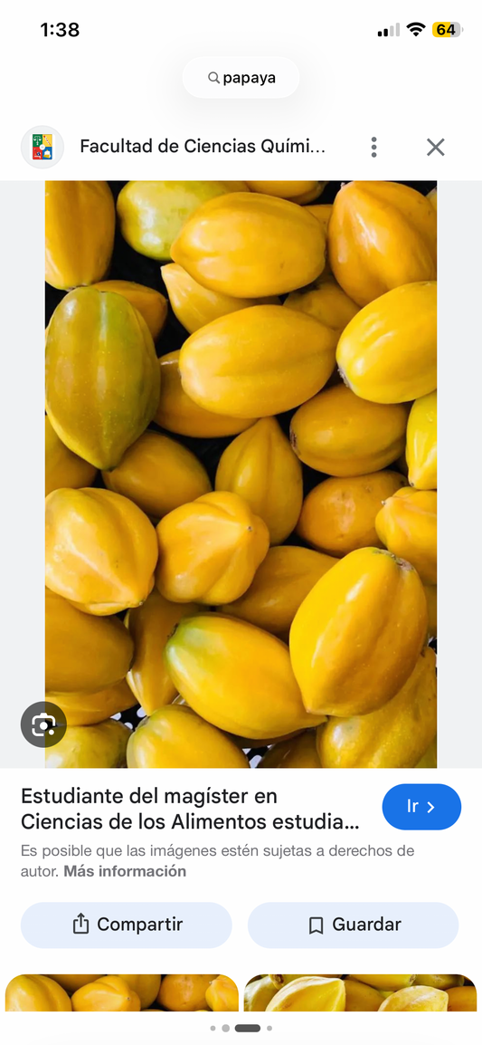 Papaya granel (kg)