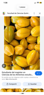 Papaya granel (kg)